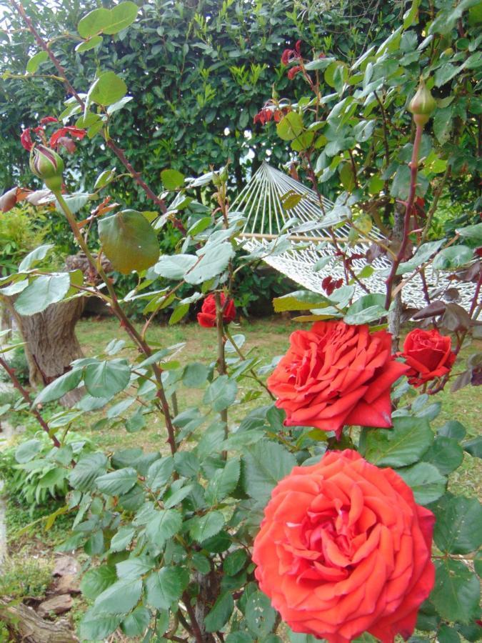 Casa Roberto B&B Savona Dış mekan fotoğraf