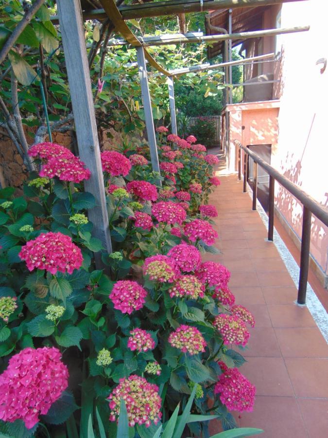 Casa Roberto B&B Savona Dış mekan fotoğraf