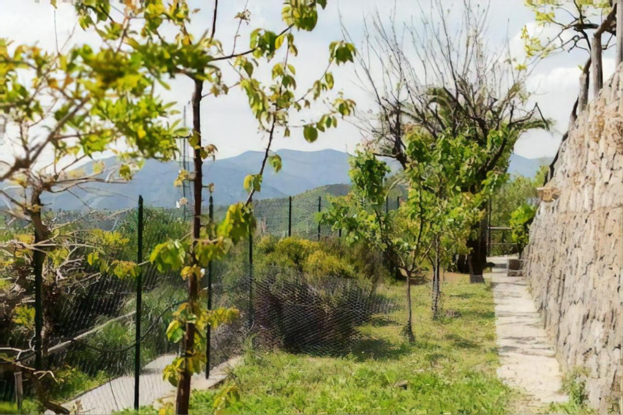 Casa Roberto B&B Savona Dış mekan fotoğraf